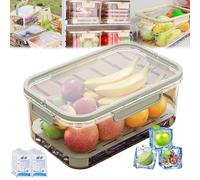 Outdoor Ice Preservation Box,Snackle Box with Ice Pack & Handle, Clear Ice Preservation Holder with Drain Divider,Portable Fresh Saver Cooler,for Camping Picnic (Green)