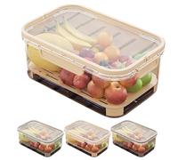 Outdoor Ice Preservation Box, Snackle Box with Ice Pack & Handle for Meat,Veggies, with Drain Divider, Portable Fresh Saver Cooler, for Camping Picnic (Beige)