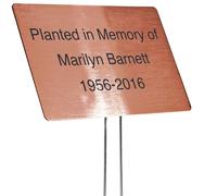 Outdoor Metal Garden Sign Label or Memorial 4 x 2 or 6 x 4 sign with rounded corners and a 10 stake Materials Include