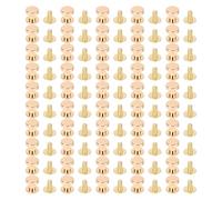 outdoorm 50 Set Remaches de Tornillo Planos Remaches de Cuero Redondos con Parte Posterior de Metal Pernos para pezones Suministros de artesanía en Cuero Aleación de Zinc de 8 mm (Dorada)