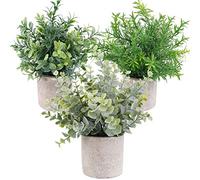 OUTLEE Paquete de 3 Mini Plantas Artificiales en Maceta de imitación de eucalipto, boj y Romero en macetas pequeñas Plantas de Interior para decoración del hogar, Oficina, Escritorio, Ducha y