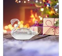 OUZHOU Estación meteorológica de cristal de tormenta, botella meteorológica de cristal, predictor de cisne, predictor del tiempo, predictor meteorológico, vidrio de tormenta meteorológica, decoración