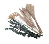OVAQUIXI 30 Hierba Suave 10 de Conejo 5 Ramo de Hierba Pampa Arreglo de Flores Secas con Eucalipto Verde para Decoración del Hogar Boho Centro de Mesa de Boda (4 Tipos)