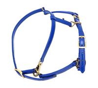 OVAQUIXI Brida para Caballo de 20 Mm, Correa de Doble Capa Impermeable y Resistente Al Olor, de Cuero Sintético Brillante, con Hebillas Reforzadas de Aleación de Zinc, para Entren