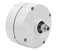 OVAQUIXI Generador de Imanes Permanentes de Alta lternador de CA de 300 W para Uso Industrial, Material NdFeB, Duradero y Resistente a la Corrosión (sin rectificador 48V)
