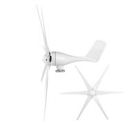 OVAQUIXI Generador de Molino de Viento de CA 800W Diseño Eficiente de 6 Aspas para Casas Domésticas y Móviles Aspecto Hermoso (24V)