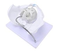 OVAQUIXI Modelo de Pelvis Femenina, Herramienta de Demostración de Parto Fetal, Adecuado para Enseñar a Estudiantes y Educadores de Medicina