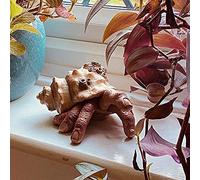 OVAQUIXI Modelo de Resina de Mano de Caracol, Accesorio de Halloween de Terror Espeluznante, Adorno Realista Pintado a Mano para Decoración Interior y Exterior, Fiesta (Fluorescencia Azul)