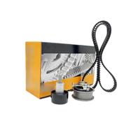 OVBNMO Kit de correa de distribución EA211 compatible con Audi A1 A3 Sportback A3 compatible con VW Passat Polo UP GOLF VII Seat compatible con Skoda 04E109119A 04E109119F 04E109119C