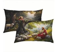 Oveja Fundas Cojines 40x60 Terciopelo Juego de 2, Lujosas Funda Cojin Hombre Súper Suaves y Cómodas, Funda de Almohada con Cremallera Oculta, Durable y Fácil Cuidado, para Sofá, Cama, Silla S6-212