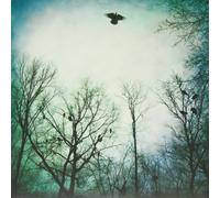 Over the Ocean - Be Given To The Soil [Vinilo]