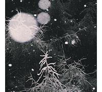 Over the voids - Over the voids