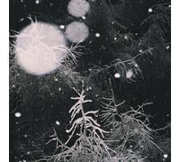 Over the voids - Over the voids