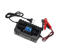 OVERMUST - Cargador Coche 12V-8A 24V-4A | USB C | Protección Sobrecarga | Pantalla LCD Inteligente | Portátil y Fácil de Usar | Compatible Moto, Barco, Camión | Ventilador Refrigerante, Negro