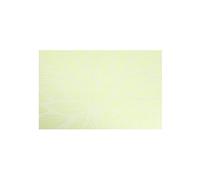 OVLIIYWZY Colorful Pattern Tableware Plate Mat Waterproof Insulated Table Mat PVC Placemat Western Placemat Coaster