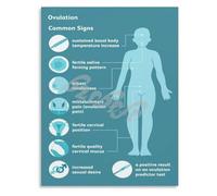 Ovulation Symptom Guide Poster for Women Wellness Decor