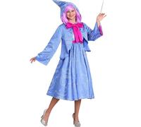 Owegvia Disfraz de hada Dios Madre para mujer, conjunto de vestido de fiesta de lujo con capucha para Halloween, cosplay (azul, L)