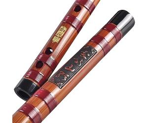 OWIEN Chinese Dizi - Flauta transversal para clarinete refinado y amargo de bambú profesional para adultos, tocando bajo instrumento musical (G)