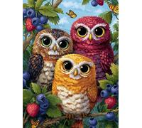 Owl 3000 Piece Jigsaw Puzzles for Adults, Colourful, Challenging & Brainteasing Adult Puzzles 3000 Pieces Blueberry, Fun jigsaws for The Whole Family 48x32 Inch