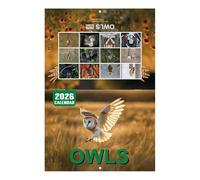 Owl Calendar 2026, 12-Month Wall Planner, Animal Pattern Organizer, Monthly Grid Layout, Decorative Schedule Tracker, Perfect for Offices Desk, School, Home, Gym Planning, 28.5x21cm Paper