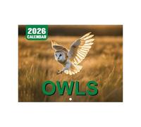 Owl Calendar 2026, Monthly Wall Planner, 11,22 × 8,27 pulgadas, 12 Month Personal Time Management Tool, Decorative Owl Design, Ideal para Office, Home, Holiday Planning, Scheduling Tasks