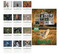 Owl Calendar 2026, Wall Monthly Planner, Time Management Chart, Ruled Blocks Layout, Diseño decorativo, Fácil programación, Seguimiento de objetivos, Perfecto para la oficina, listas de tareas