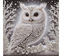Owl Kit de pintura por números 5D Diamante DIY Forma Especial para Adultos Decoración Hogar 30 x 30 cm