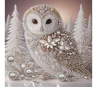 Owl Kit de pintura por números 5D Diamante DIY Forma Especial para Adultos Decoración Hogar 30 x 30 cm