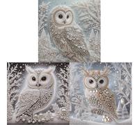 Owl Kit de pintura por números 5D Diamante DIY Forma Especial para Adultos Decoración Hogar 30 x 30 cm