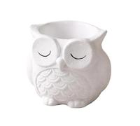 Owl Resin Plant Pots, Cute Small Planter, 9.5x11cm/3.7x4.3 Inches Indoor Outdoor Flower Container with Drain Hole, Resin Pot Sculpture, Desk Display Plant Holder, for Windowsill Balcony