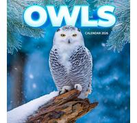 Owls 2026 Calendar: Mysterious Birds of the Night