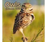 Owls Calendar 2026: 12 Months Organizer From January to December