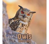 Owls Calendar 2026: 14-Month Organizer from Nov 2025 to Dec 2026 | Perfect for Home, Office, School & Family Scheduling, For Men , Women , Girls , Boys