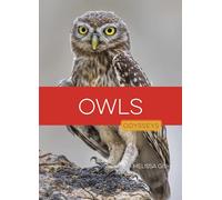 Owls (Odysseys in the Wild)