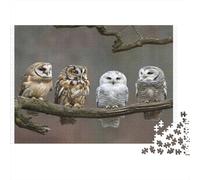 Owls Perched Together Colourful Four Owls 1000 Pieces Jigsaws Adults and Children Fun Activity for Rainy Days 38x26cm/1000pcs