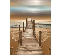 OWN4B Kit de punto de cruz estampado, puente por el mar, patrón impreso de 11 quilates, 14.2 x 18.1 pulgadas, kit de bordado (puente)