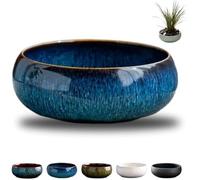 OWSEN Maceta de loto, cuencos de loto para plantar en agua en interiores, cuenco de bonsái, semillas de flor de loto, cuenco redondo de loto, cuenco de cerámica para plantas suculentas, diseño a