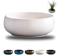OWSEN Maceta de loto, cuencos de loto para plantar en agua en interiores, cuenco de bonsái, semillas de flor de loto, cuenco redondo de loto, cuenco de cerámica para plantas suculentas, diseño a