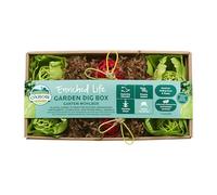 Oxbow Enriched Life Caja de excavación - Juguetes para Conejos, cobayas, hámsters, Conejos, Chinchillas, Ratas, jerbos, Accesorios para Animales pequeños