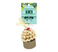 Oxbow Enriched Life Celebration Cupcake - Rabbit Toys, Guinea Pig Toys, Hamster, Rabbit, Chinchilla, Rat, Chinchilla Cage Accessories, Guinea Pig Accessories for Cage