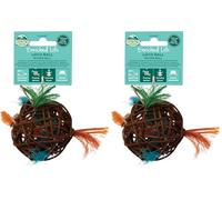Oxbow Enriched Life Pelota Loca - Juguetes para Conejos, Cobayas, Hámsters, Ratas (Paquete de 2)