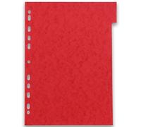 OXFORD - Lote de 60 separadores neutros tradicionales, A4, 6 posiciones, tarjeta cepillada, grosor 220 g, colores surtidos