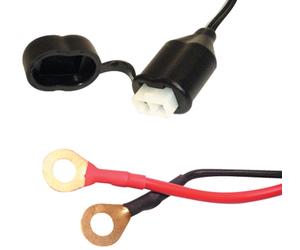 Oxford Permanent Cable del cargador de batería