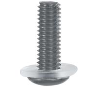 Oxford Screen Shield Tornillos de reemplazo, Plata
