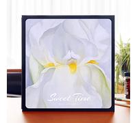 OXOLAMRIN Álbum de Recortes, Álbum de Fotos Autoadhesivo DIY Multicolor Múltiples tamaños(02,40 Sheets/Black Paper)