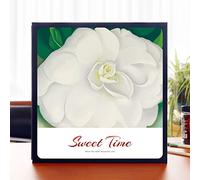 OXOLAMRIN Álbum de Recortes, Álbum de Fotos Autoadhesivo DIY Multicolor Múltiples tamaños(07,20 Sheets/White Paper)