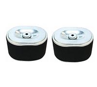 OxoxO Paquete de 2 filtros de aire compatibles con 17210-ZE1-517 17210-ZE1-822 17210-ZE1-507 17210-ZE1-505 compatible con motores de 5.5HP 6HP
