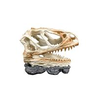 Oxtxuzdm Delicada estatua artificial de dinosaurio sagrado para cueva, terrario, escondites de camarones, estatua de acuario, decoración de hábitat, decoración de peceras, temática de calavera