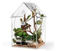 Oxxggkao Caja de acrílico transparente para empanar reptiles, terrario de anfibios ventilados para decoración del hogar y uso educativo, 12 x 12 x 20 cm, caja de error simple