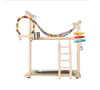 Oxxggkao Jaula para loros, escalera, columpio, cuentas coloridas, cuenco de alimentación, suministros de pie, para entrenamiento de puente, loros, suministros de pie, columpios de pájaros para